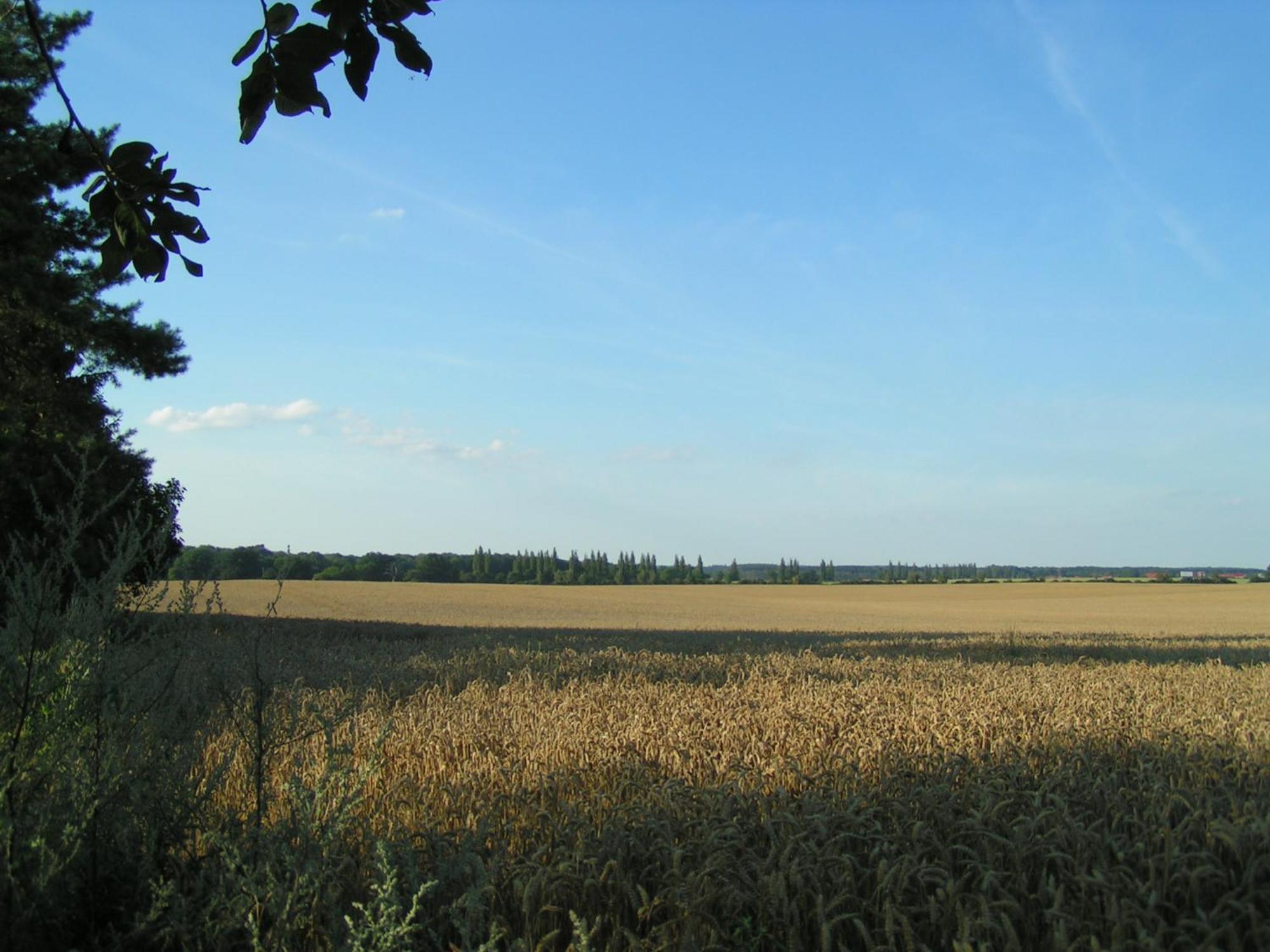 Hof Sorgenlos Gross Gievitz Quarto foto